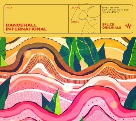 Splice Originals Dancehall International WAV Synth Presets